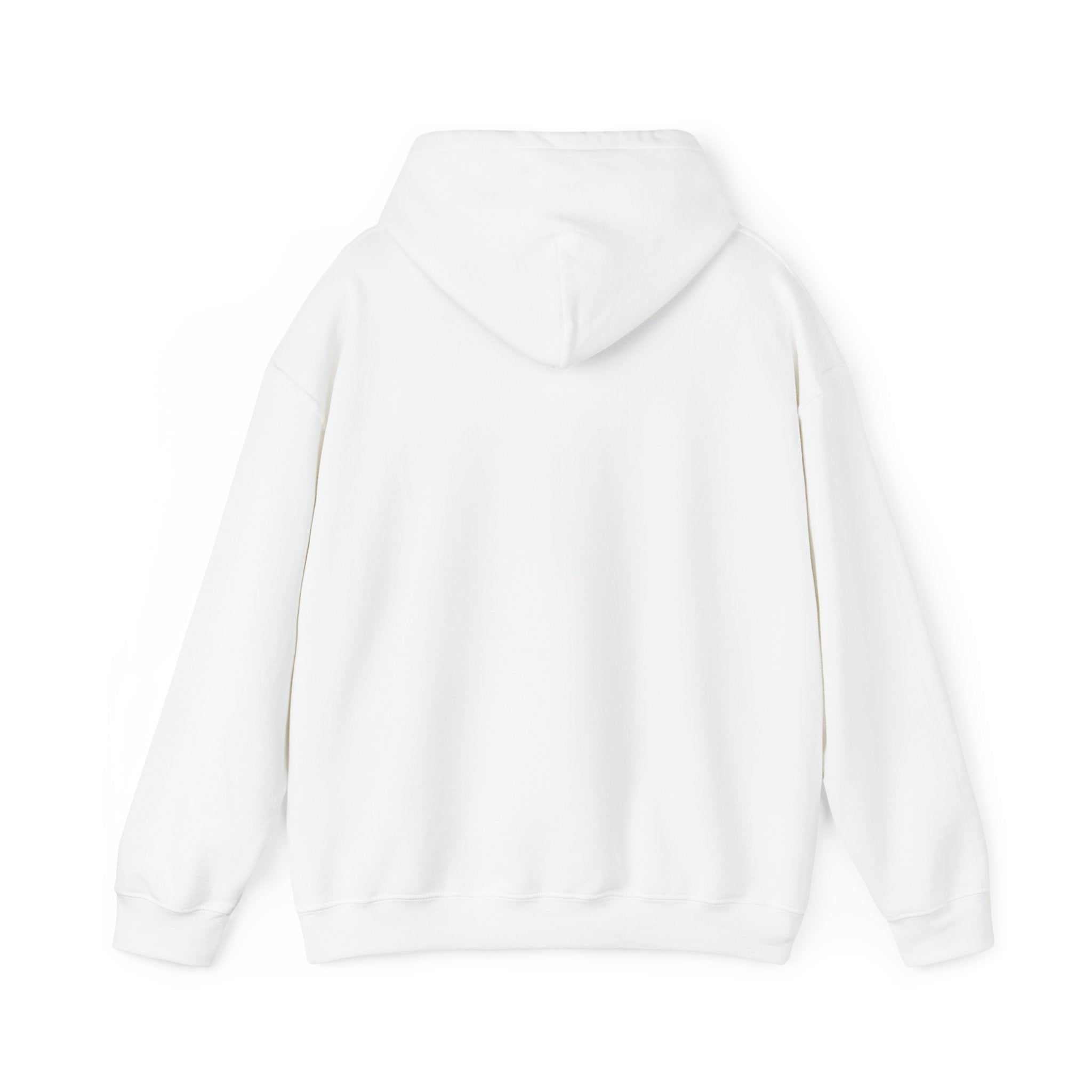 Eye Don't Chase Hooded Sweatshirt
